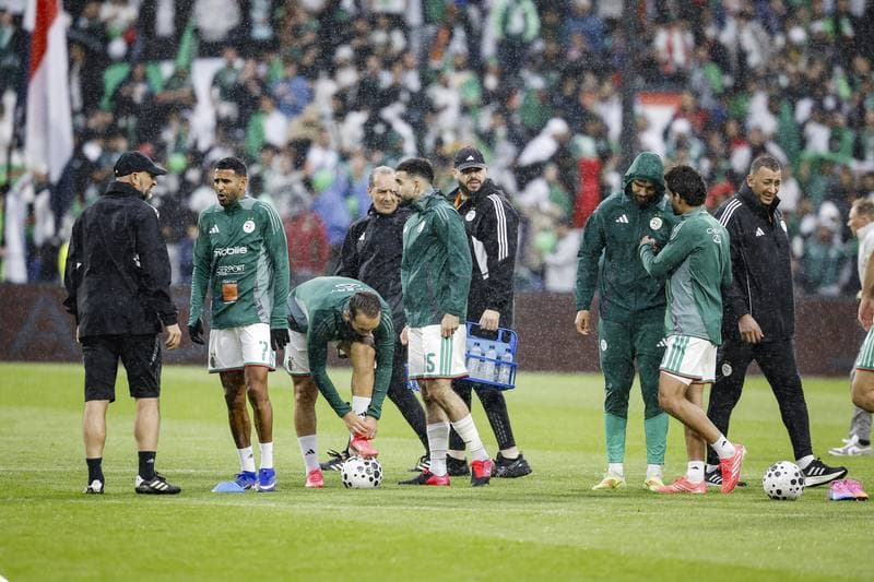 Football. International Friendly. Netherlands - Algeria. 03.06.2026