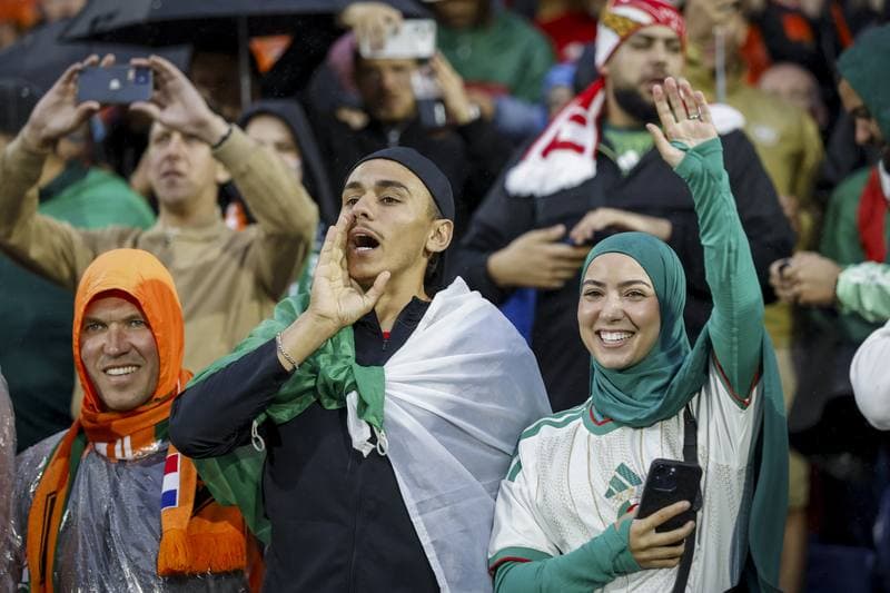 Football. International Friendly. Netherlands - Algeria. 03.06.2026