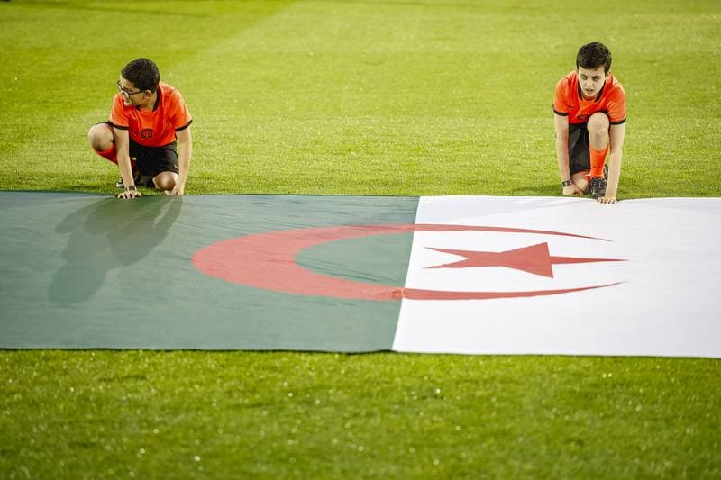 Football. International Friendly. Netherlands - Algeria. 03.06.2026