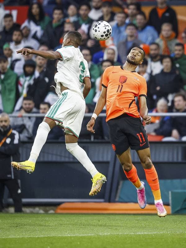 Football. International Friendly. Netherlands - Algeria. 03.06.2026