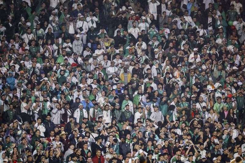 Football. International Friendly. Netherlands - Algeria. 03.06.2026