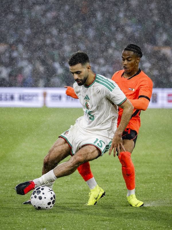 Football. International Friendly. Netherlands - Algeria. 03.06.2026