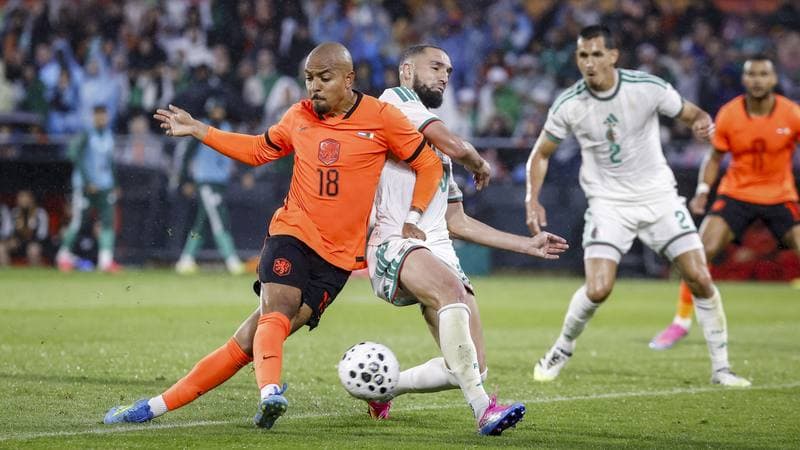 Football. International Friendly. Netherlands - Algeria. 03.06.2026