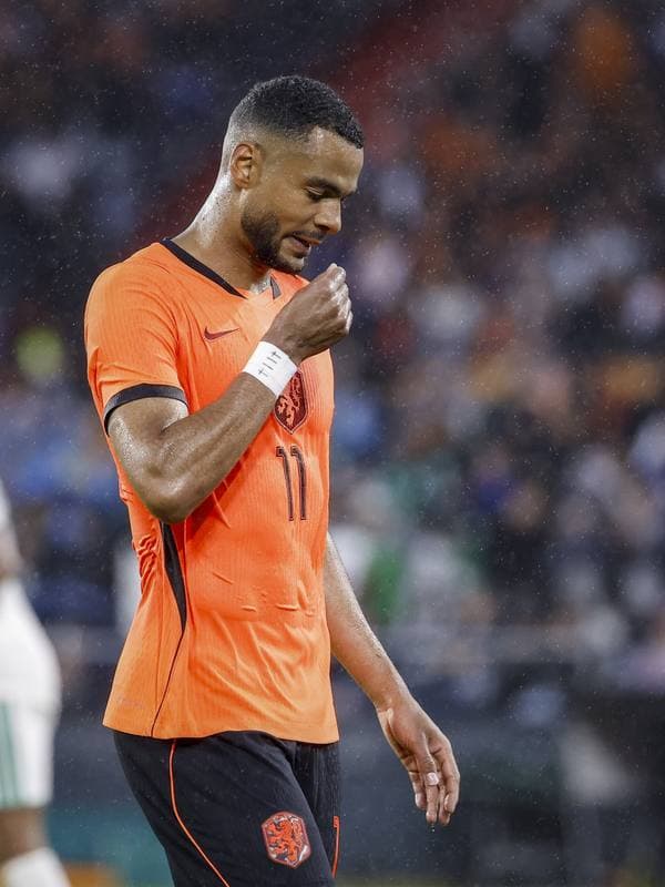 Football. International Friendly. Netherlands - Algeria. 03.06.2026