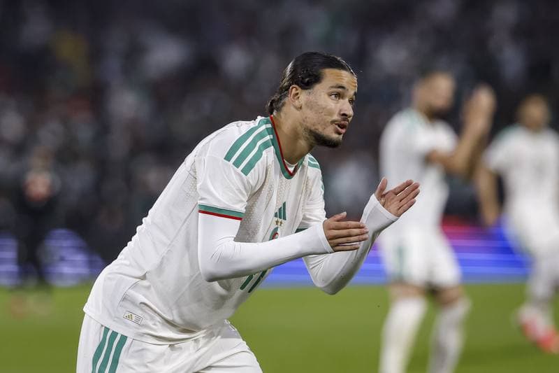 Football. International Friendly. Netherlands - Algeria. 03.06.2026