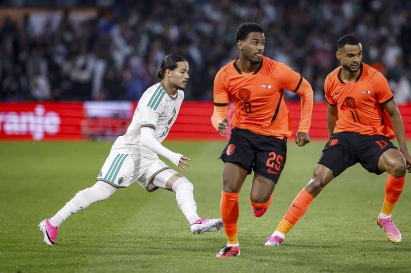 Football. International Friendly. Netherlands - Algeria. 03.06.2026