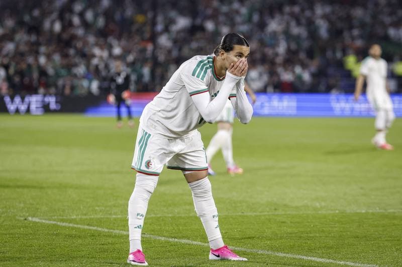 Football. International Friendly. Netherlands - Algeria. 03.06.2026