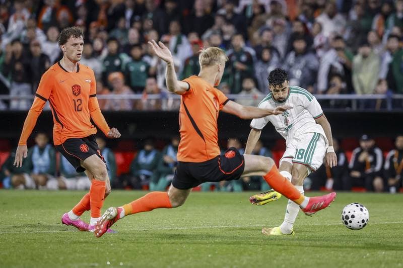 Football. International Friendly. Netherlands - Algeria. 03.06.2026