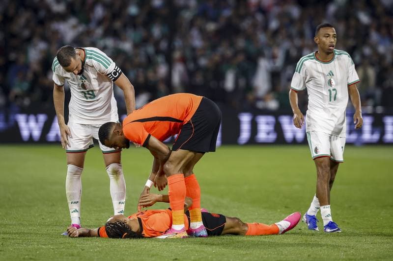 Football. International Friendly. Netherlands - Algeria. 03.06.2026