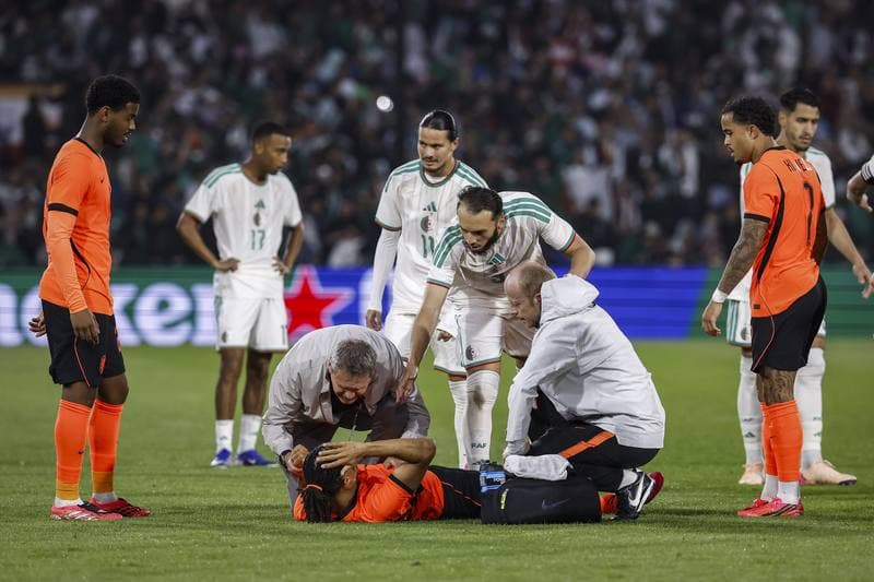 Football. International Friendly. Netherlands - Algeria. 03.06.2026