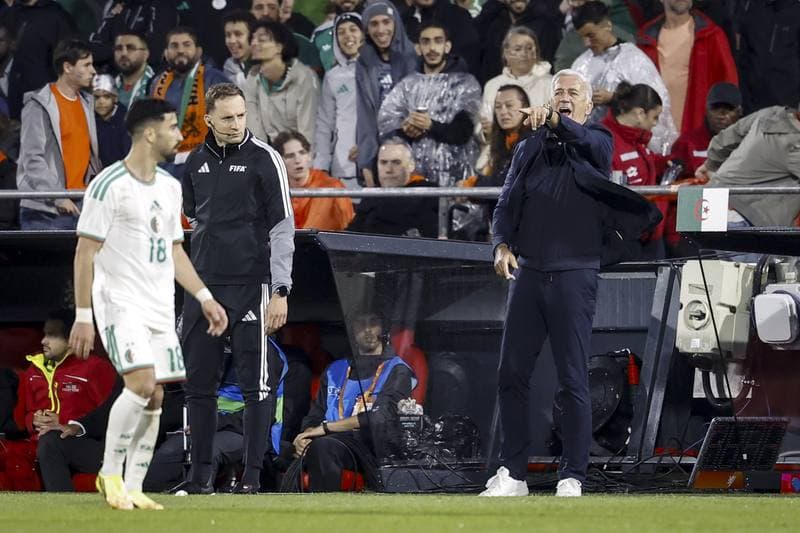 Football. International Friendly. Netherlands - Algeria. 03.06.2026