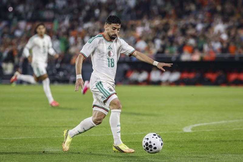 Football. International Friendly. Netherlands - Algeria. 03.06.2026