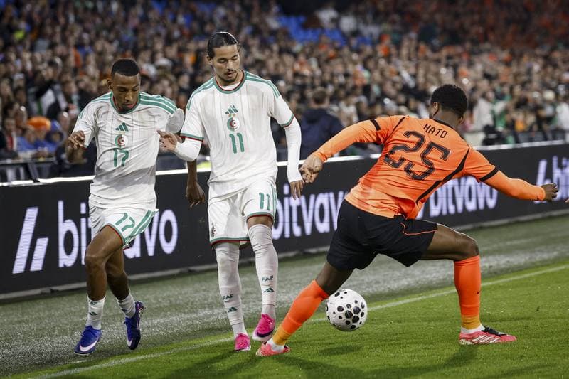 Football. International Friendly. Netherlands - Algeria. 03.06.2026