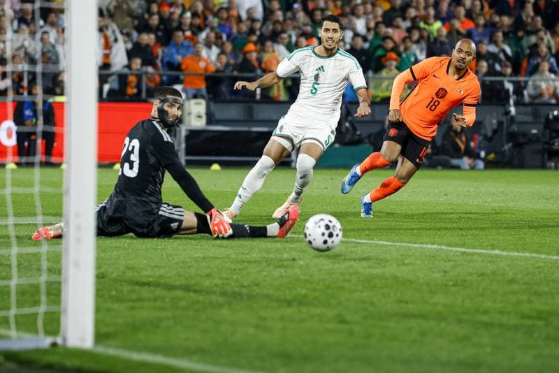 Football. International Friendly. Netherlands - Algeria. 03.06.2026