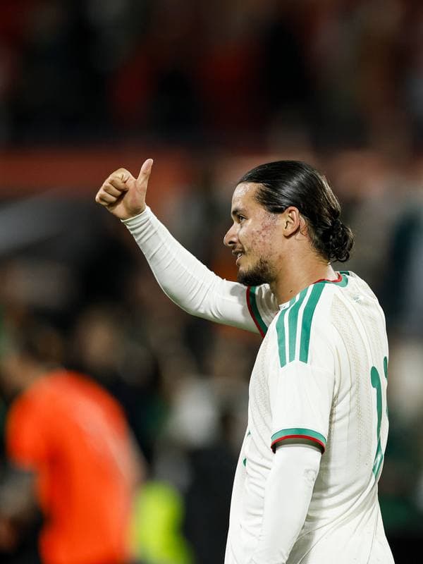 Football. International Friendly. Netherlands - Algeria. 03.06.2026