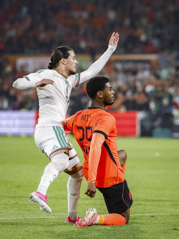 Football. International Friendly. Netherlands - Algeria. 03.06.2026