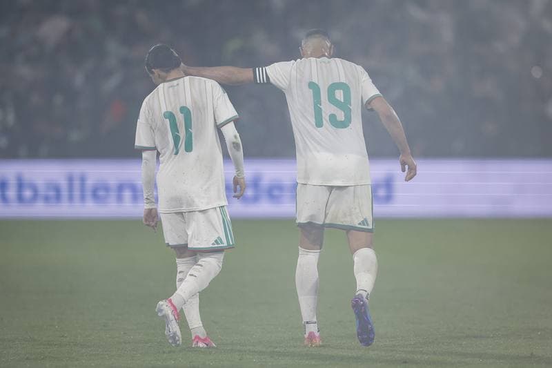 Football. International Friendly. Netherlands - Algeria. 03.06.2026