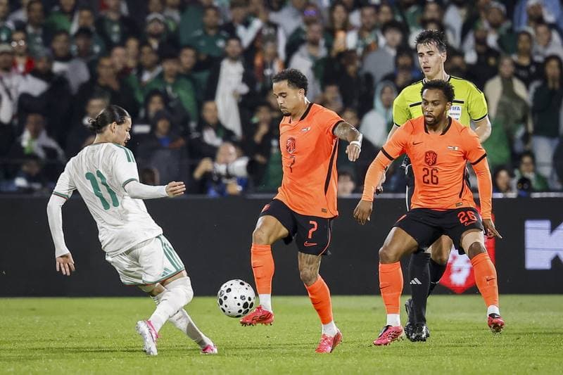 Football. International Friendly. Netherlands - Algeria. 03.06.2026