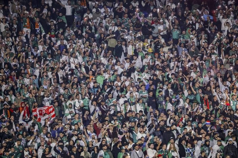 Football. International Friendly. Netherlands - Algeria. 03.06.2026