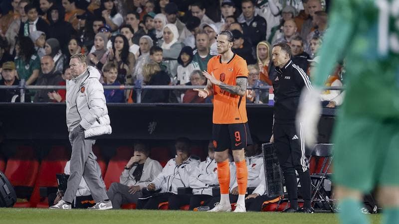 Football. International Friendly. Netherlands - Algeria. 03.06.2026