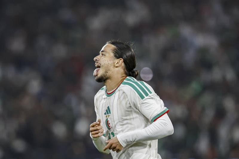 Football. International Friendly. Netherlands - Algeria. 03.06.2026