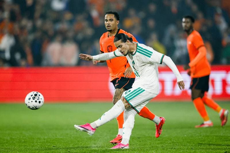 Football. International Friendly. Netherlands - Algeria. 03.06.2026