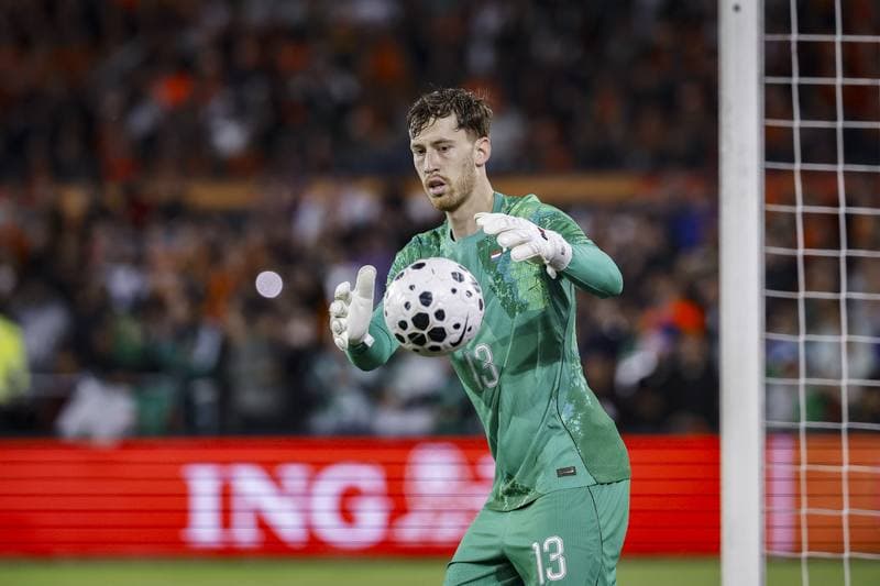 Football. International Friendly. Netherlands - Algeria. 03.06.2026