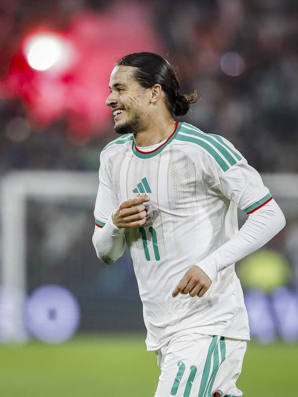 Football. International Friendly. Netherlands - Algeria. 03.06.2026