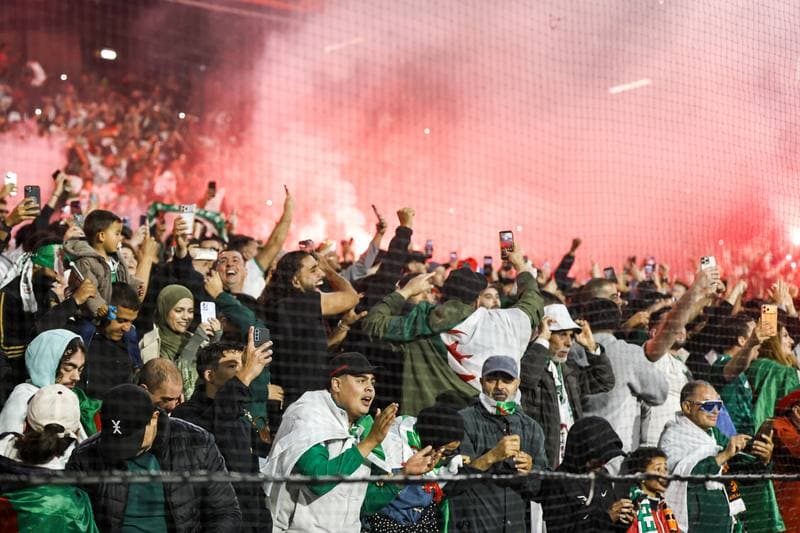 Football. International Friendly. Netherlands - Algeria. 03.06.2026