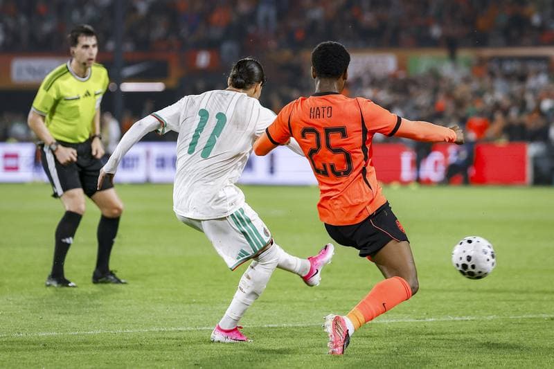 Football. International Friendly. Netherlands - Algeria. 03.06.2026