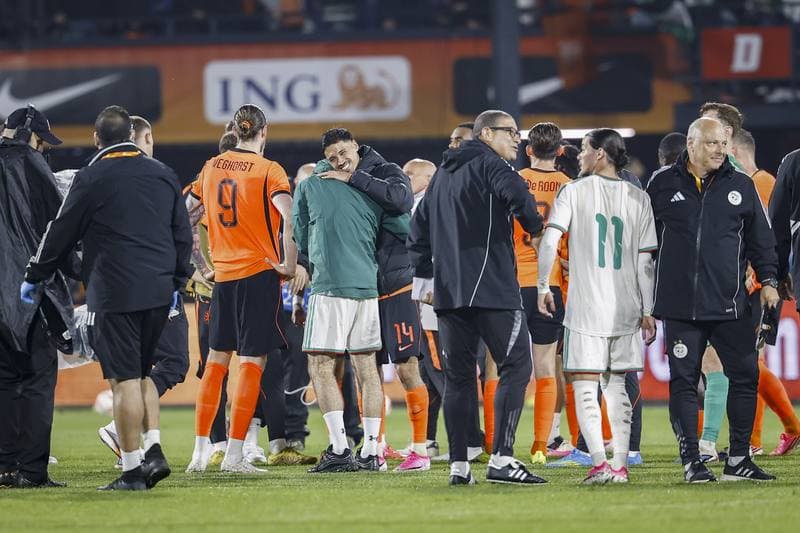 Football. International Friendly. Netherlands - Algeria. 03.06.2026