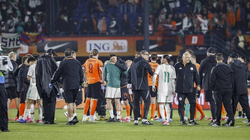 Football. International Friendly. Netherlands - Algeria. 03.06.2026
