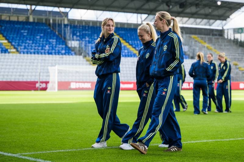 Football. Women's World Cup Qualifiers. Denmark - Sweden. 05.06.2026