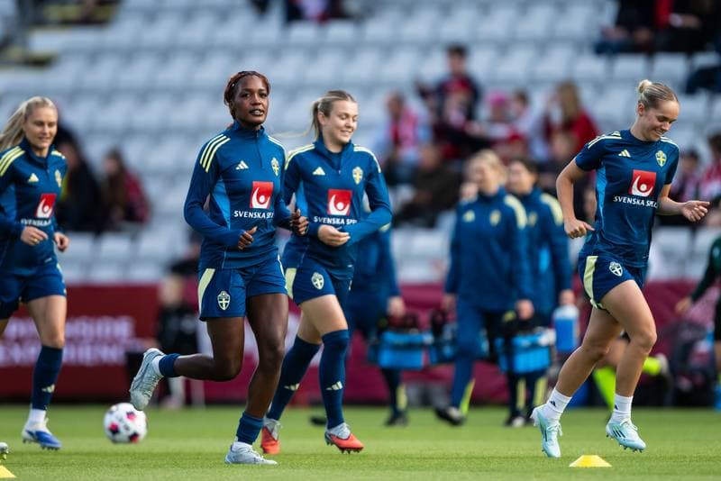 Football. Women's World Cup Qualifiers. Denmark - Sweden. 05.06.2026
