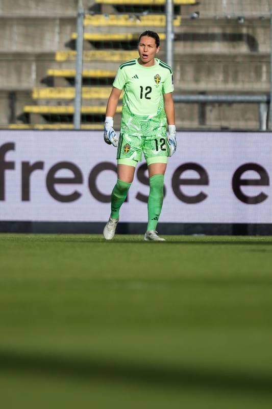 Football. Women's World Cup Qualifiers. Denmark - Sweden. 05.06.2026