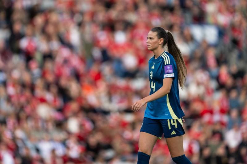 Football. Women's World Cup Qualifiers. Denmark - Sweden. 05.06.2026