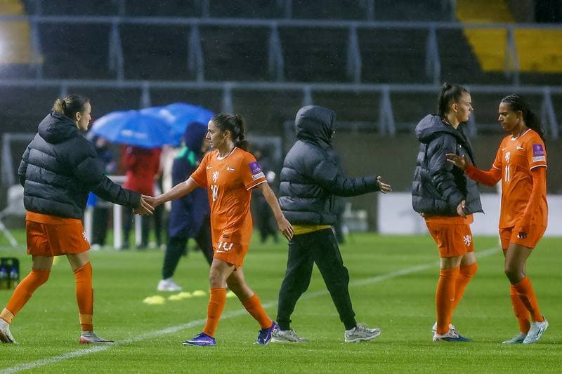 Football. Women's World Cup Qualifiers. Ireland - Netherlands. 05.06.2026