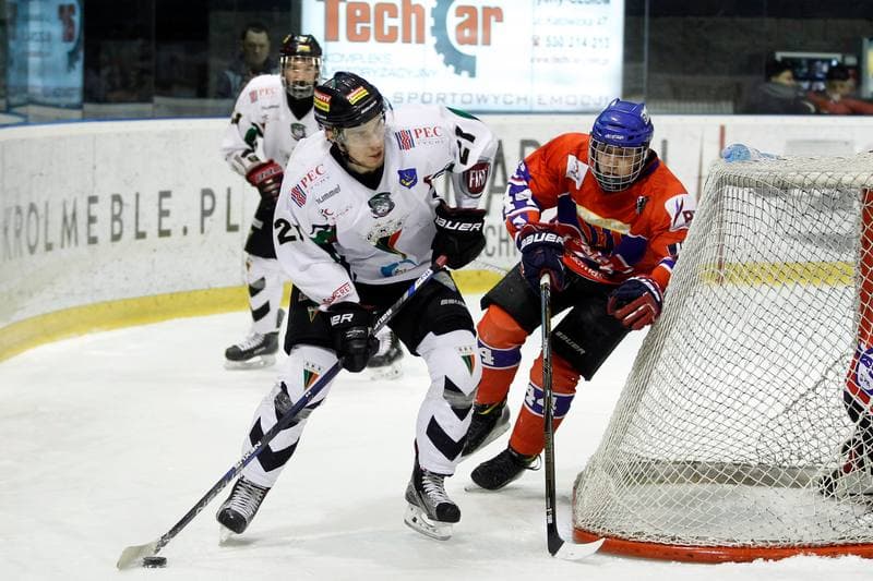 Ice Hockey. Polska Hokej Liga. GKS Tychy - Tempish Polonia Bytom. 08.03.2017
