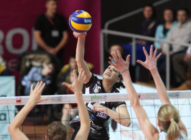 Volleyball. Tauron PLSK. Tauron MKS Dabrowa Gornicza - Atom Trefl Sopot. 04.03.2012