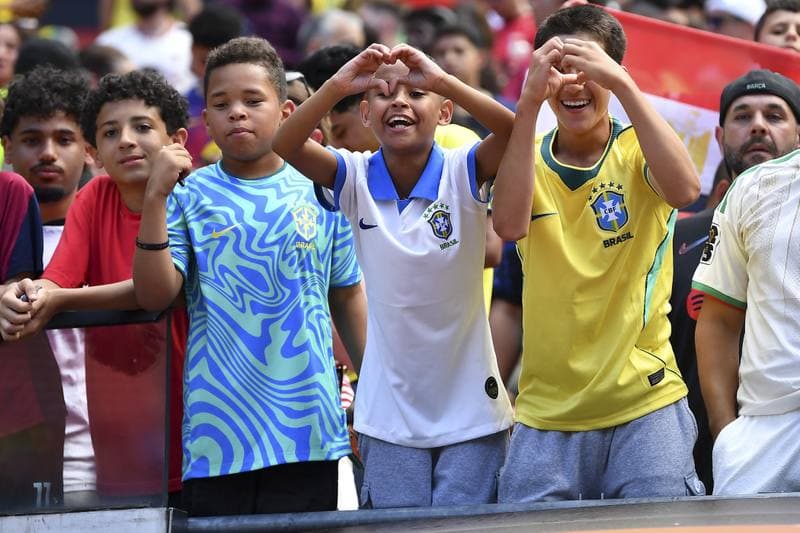 Football. International Friendly. Brazil - Egypt. 06.06.2026
