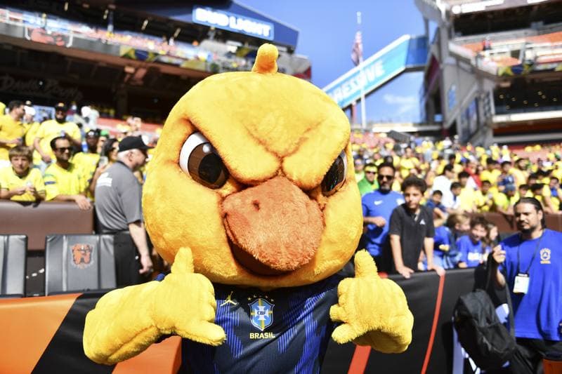 Football. International Friendly. Brazil - Egypt. 06.06.2026