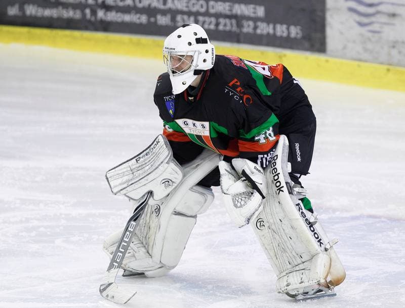 Ice Hockey. Polska Hokej Liga. Naprzod Janow - GKS Tychy. 19.10.2014