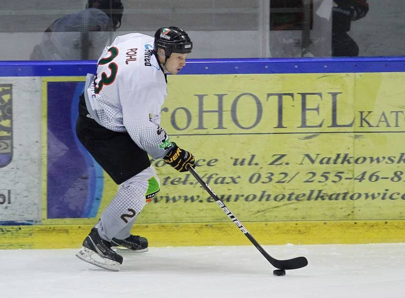 Ice Hockey. Polska Hokej Liga. Naprzod Janow - GKS Tychy. 19.10.2014