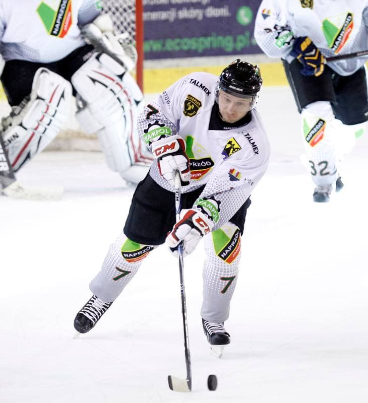 Ice Hockey. Polska Hokej Liga. Naprzod Janow - GKS Tychy. 19.10.2014