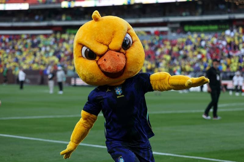 Football. International Friendly. Egypt - Brazil. 06.06.2026