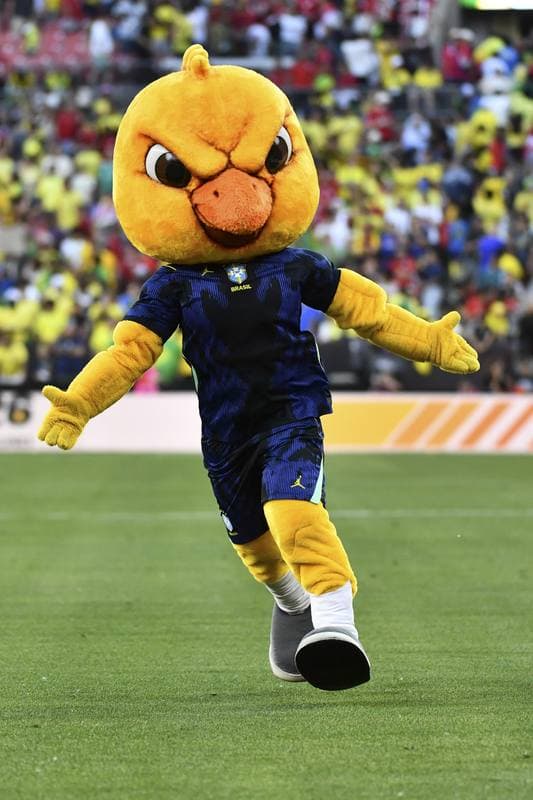 Football. International Friendly. Brazil - Egypt. 06.06.2026