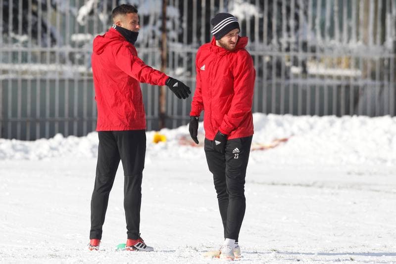 Football. Gornik Zabrze. Training. 05.02.2019