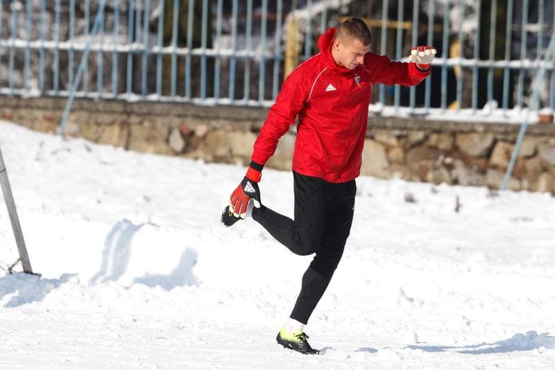 Football. Gornik Zabrze. Training. 05.02.2019