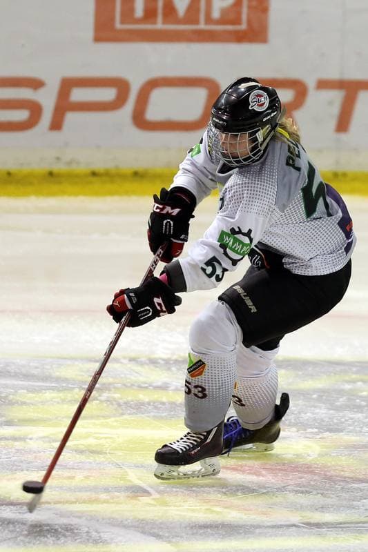 Ice Hockey. PLHK. Naprzod Janow - Stoczniowiec Gdansk. 07.10.2017