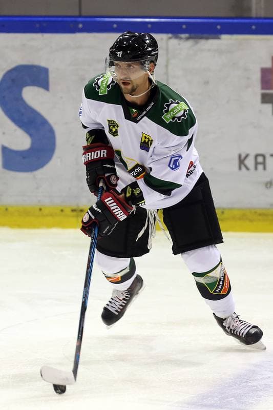 Ice Hockey. Polska Hokej Liga. Naprzod Janow - SMS PZHL Katowice. 09.10.2017